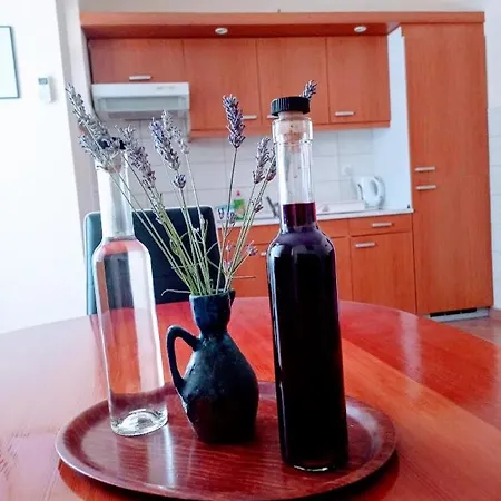 Henjak Apartment *